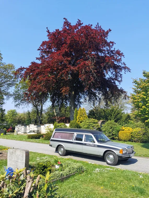 Historisches Bestattungsfahrzeug des Beerdigungsinstituts Velleuer auf dem Friedhof
