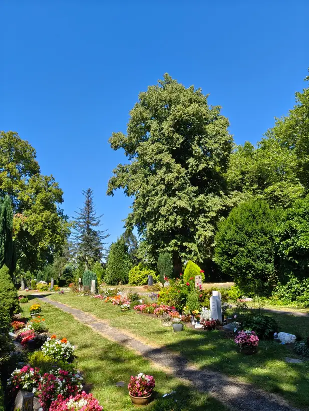 Evangelischer Friedhof Heiligenhaus in Heiligenhaus – Ansicht 2