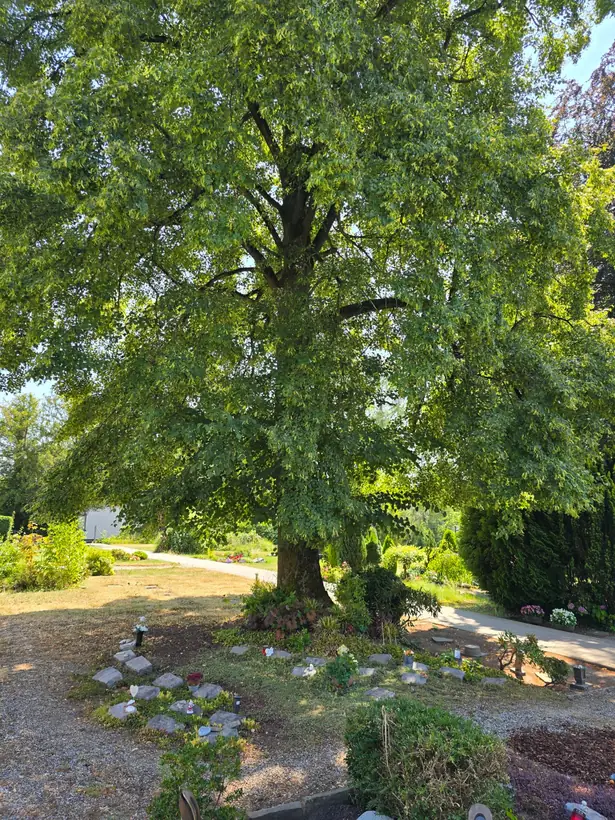 Evangelischer Friedhof Wülfrath in Wülfrath-Mitte – Ansicht 15