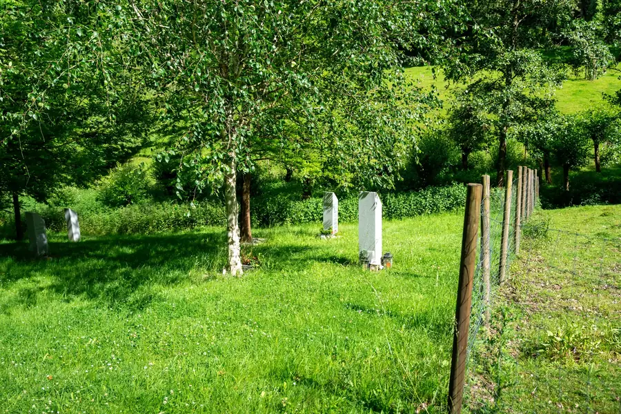 Städtischer Nordfriedhof Velbert – Baumgräber mit Stelen auf der Wiese