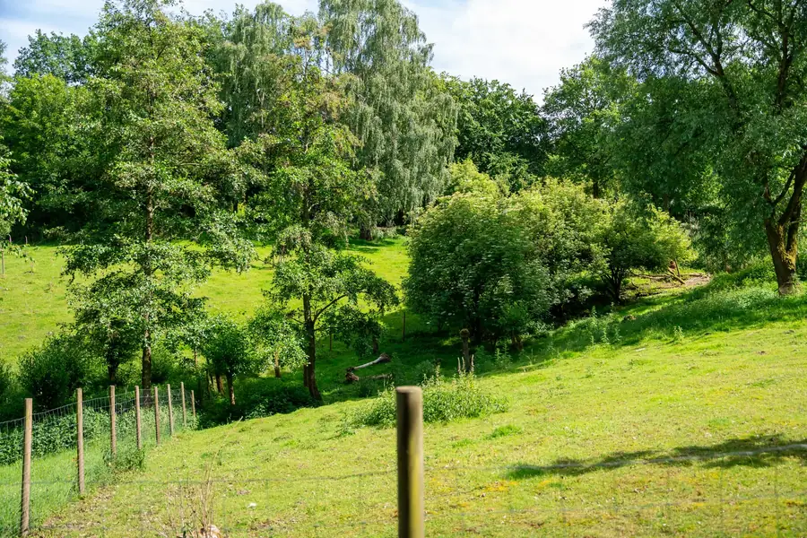 Städtischer Nordfriedhof Velbert – naturnahe Wiese mit Obstbäumen am Rand des Friedhofs