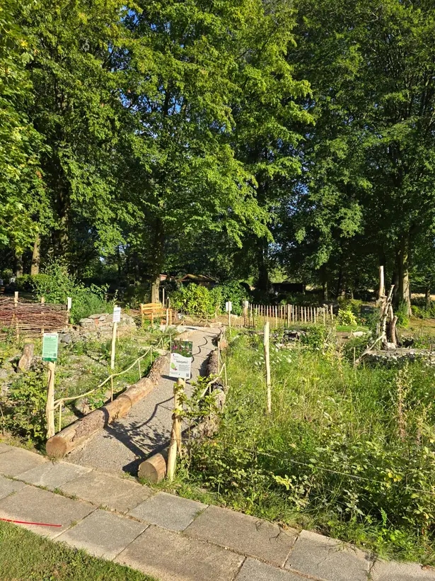 Städtischer Friedhof Heiligenhaus-Werkerwald in Heiligenhaus – Ansicht 9