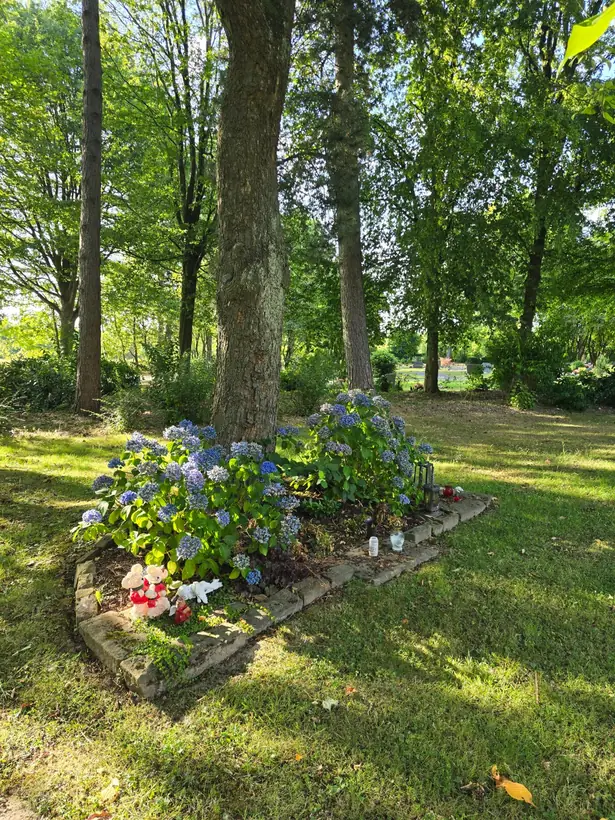 Städtischer Friedhof Heiligenhaus-Werkerwald in Heiligenhaus – Ansicht 11