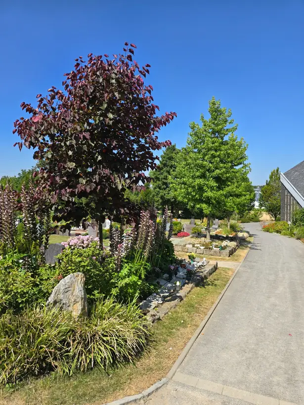 Städtischer Friedhof Wülfrath-Fliethe in Wülfrath – Ansicht 2